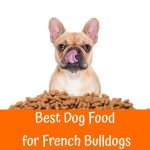 best food for french bulldog