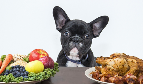 Can French Bulldogs Eat Raw Chicken?