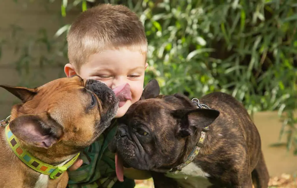 Are French Bulldogs Good With Kids?