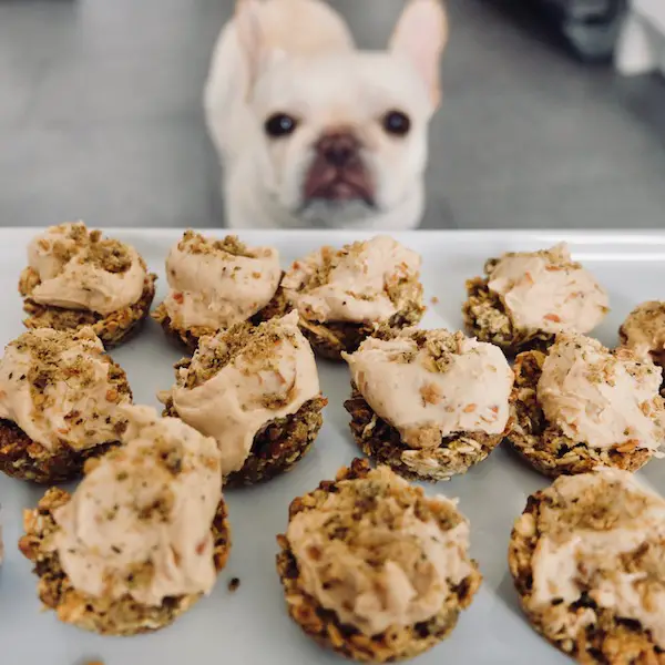 Is Peanut Butter Good For French Bulldogs?