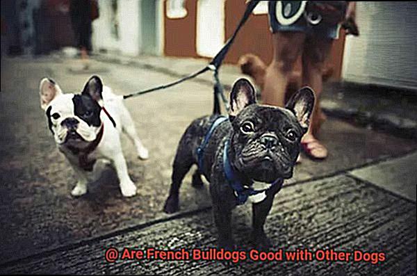 Are French Bulldogs Good with Other Dogs-6