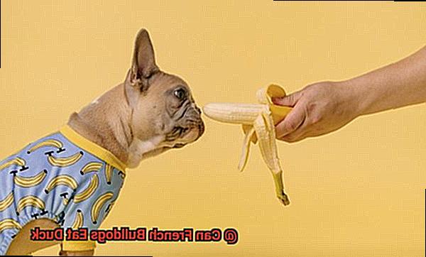 Can French Bulldogs Eat Duck-5