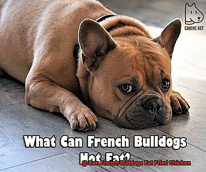 Can French Bulldogs Eat Fried Chicken-5