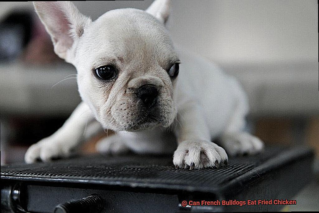 Can French Bulldogs Eat Fried Chicken-4