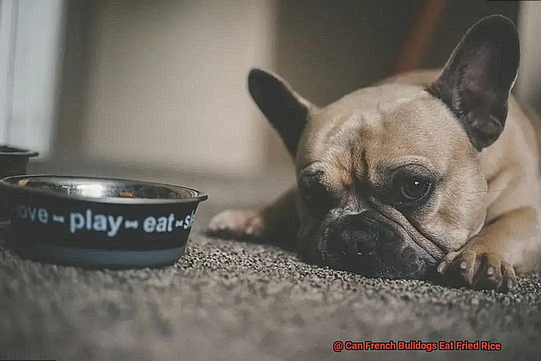 Can French Bulldogs Eat Fried Rice-8