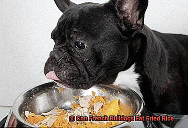 Can French Bulldogs Eat Fried Rice-2