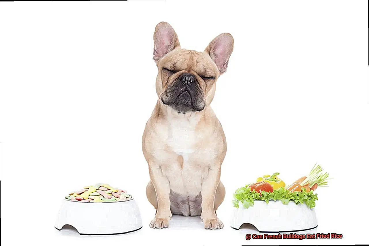 Can French Bulldogs Eat Fried Rice-6