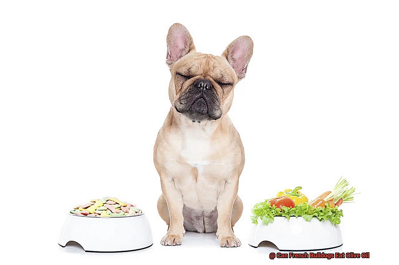 Can French Bulldogs Eat Olive Oil-4