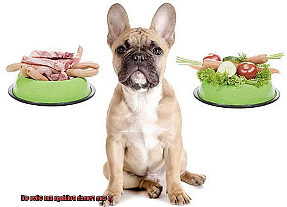 Can French Bulldogs Eat Olive Oil-3