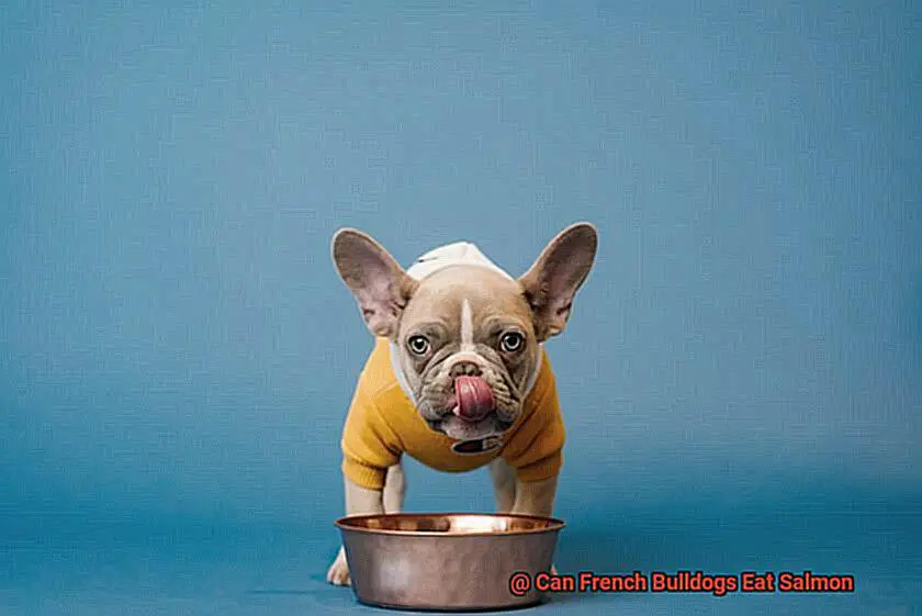 Can French Bulldogs Eat Salmon-3