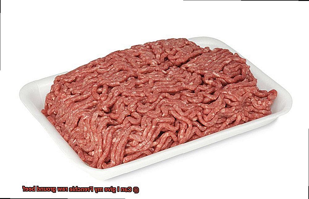 Can I give my Frenchie raw ground beef-3