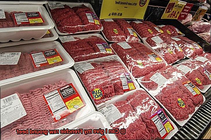 Can I give my Frenchie raw ground beef-4