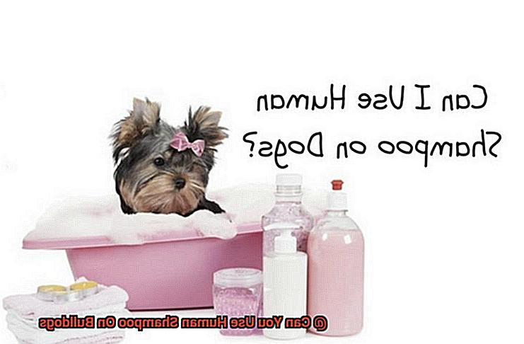 Can You Use Human Shampoo On Bulldogs-2