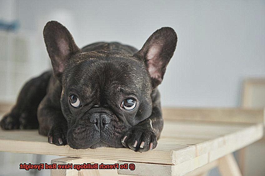 Do French Bulldogs Have Bad Eyesight-4