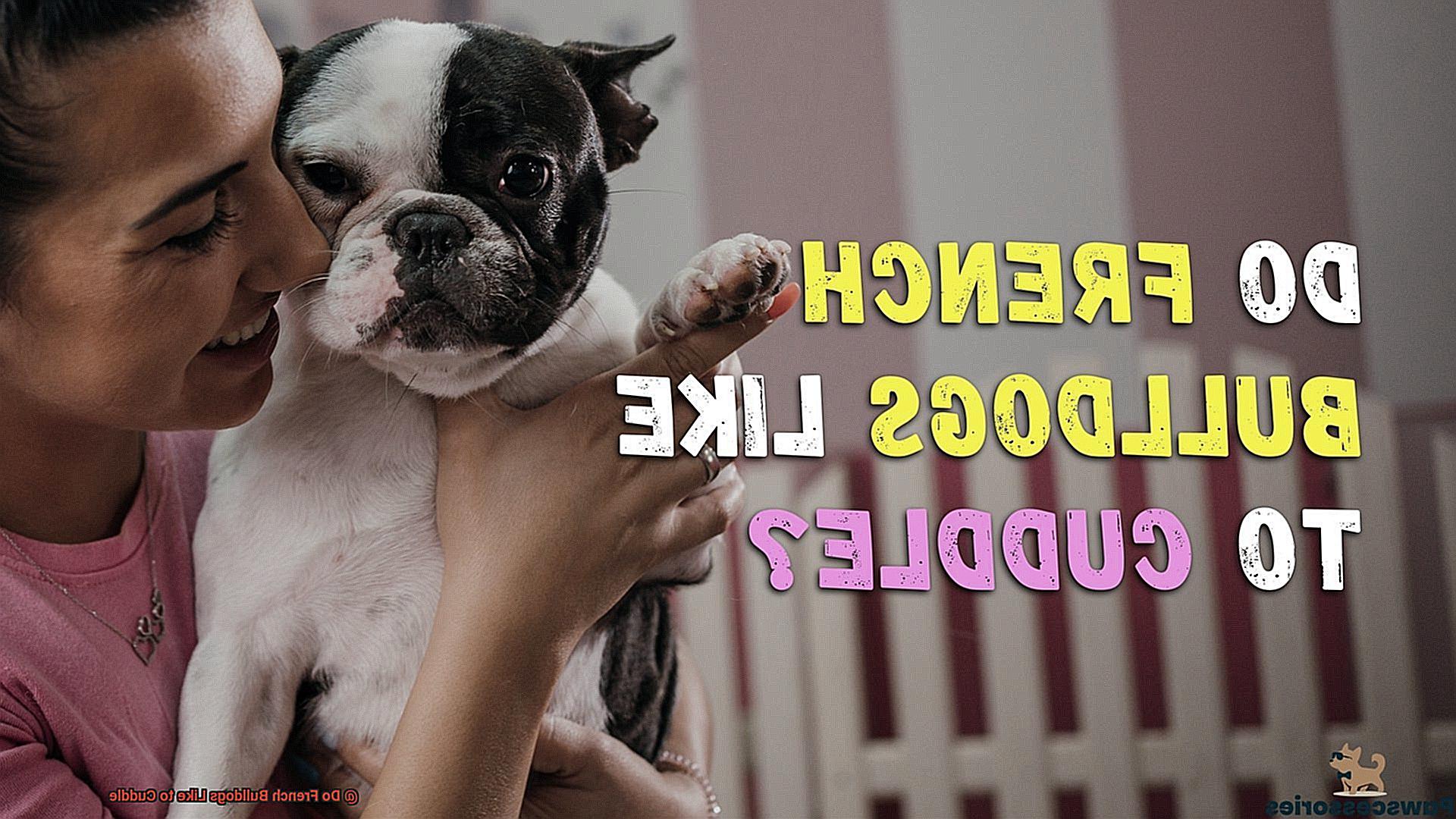 Do French Bulldogs Like to Cuddle-3
