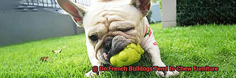 Do French Bulldogs Tend to Chew Furniture-2
