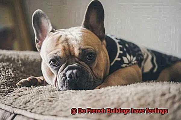 Do French Bulldogs have feelings-3