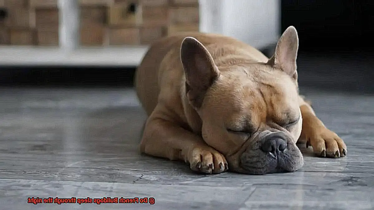 Do French Bulldogs sleep through the night-5