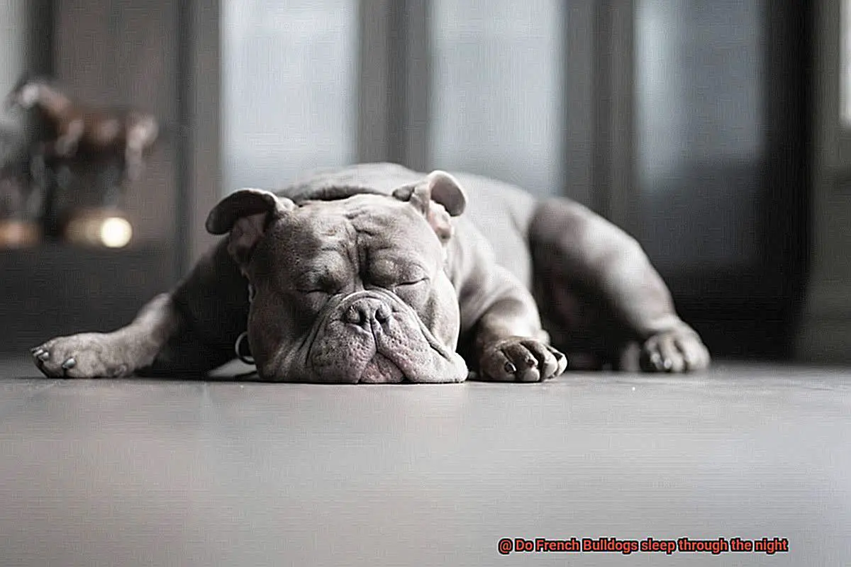 Do French Bulldogs sleep through the night-3