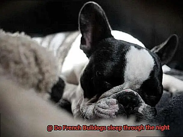 Do French Bulldogs sleep through the night-2