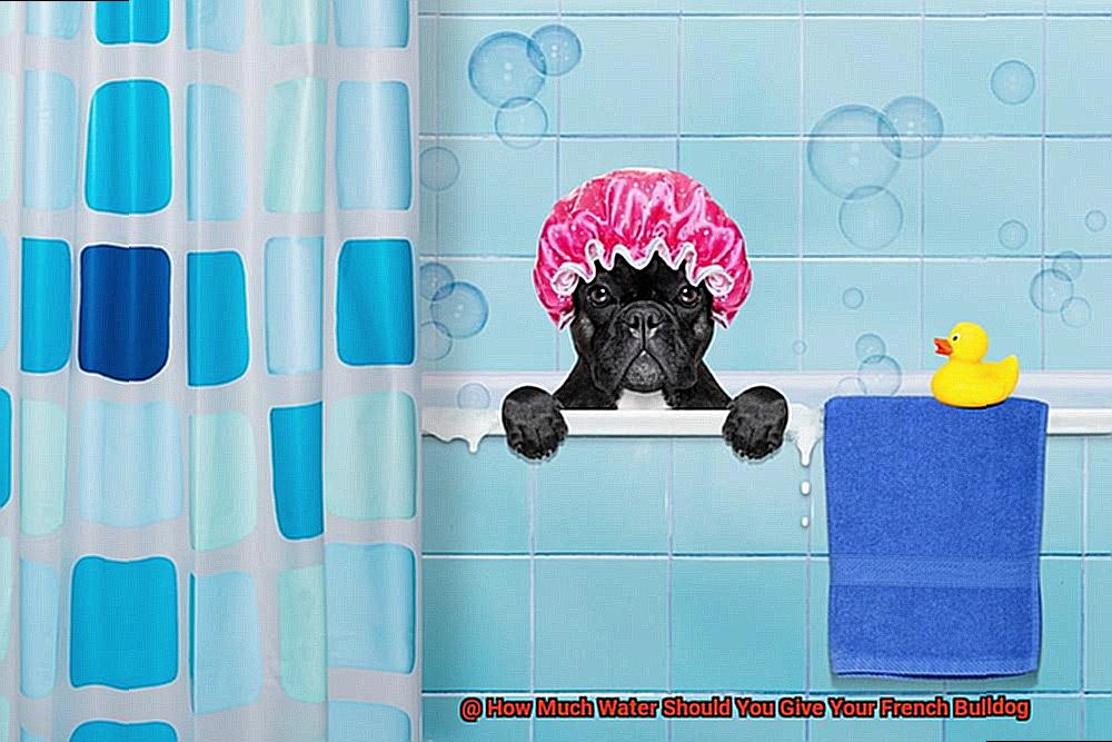How Much Water Should You Give Your French Bulldog-2