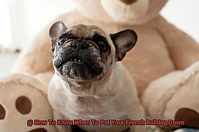 How To Know When To Put Your French Bulldog Down-2