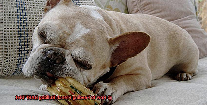 How to Feeding French Bulldog BARF Diet-2