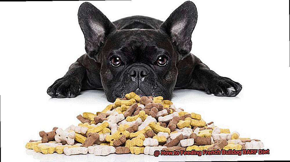 How to Feeding French Bulldog BARF Diet-4