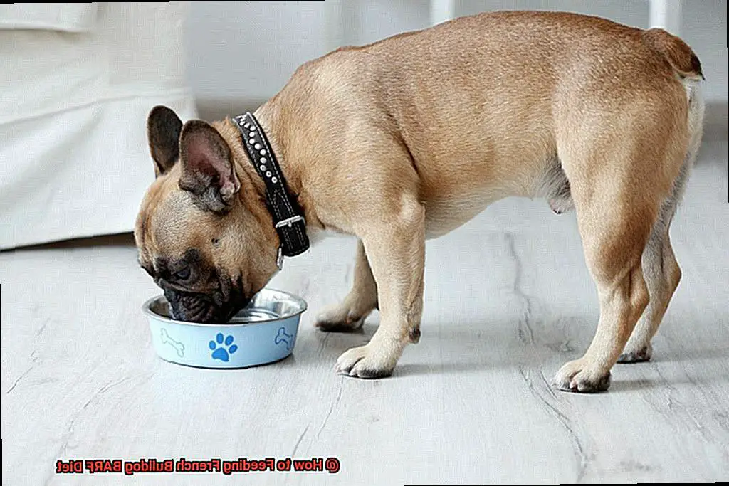 How to Feeding French Bulldog BARF Diet-5