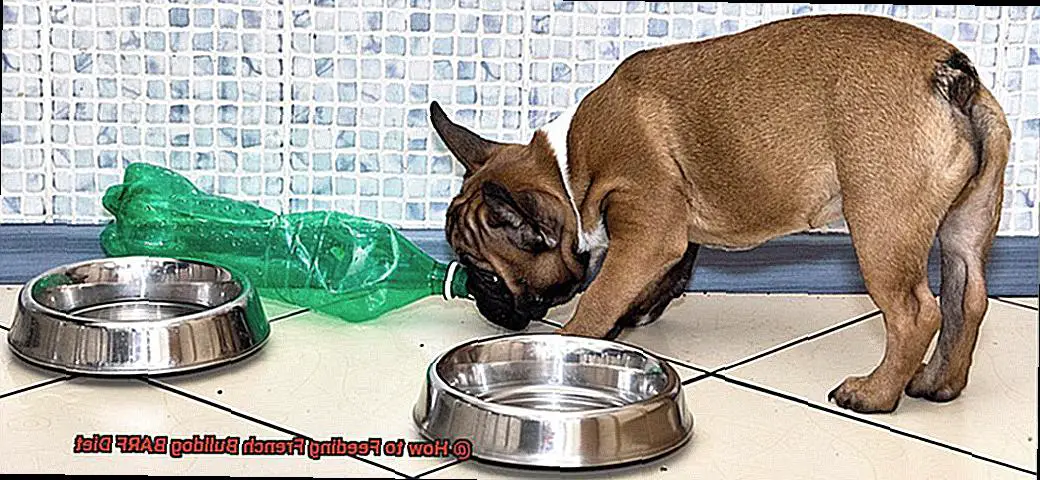 How to Feeding French Bulldog BARF Diet-3