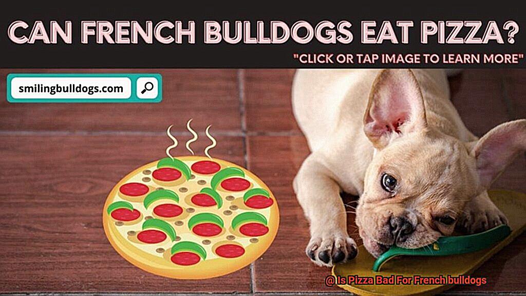 Is Pizza Bad For French bulldogs-5