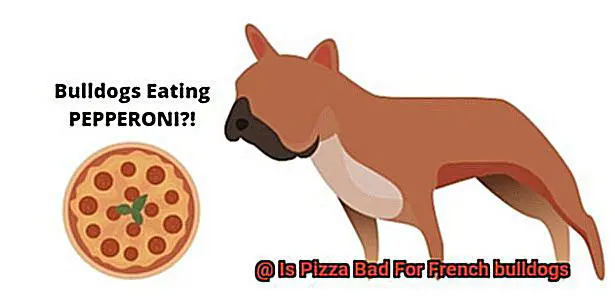 Is Pizza Bad For French bulldogs-2