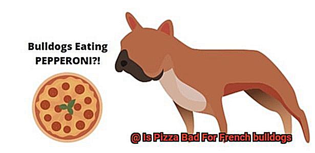 Is Pizza Bad For French bulldogs-2