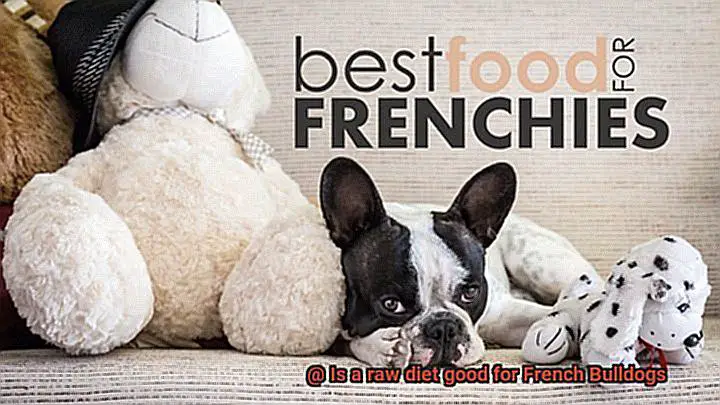 Is a raw diet good for French Bulldogs-6