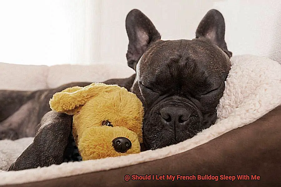 Should I Let My French Bulldog Sleep With Me-3