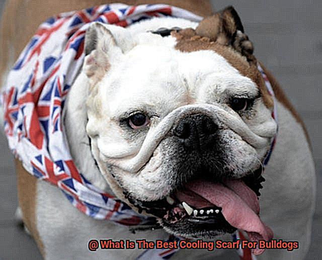 What Is The Best Cooling Scarf For Bulldogs-7