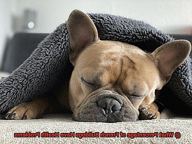 What Percentage of French Bulldogs Have Health Problems-2