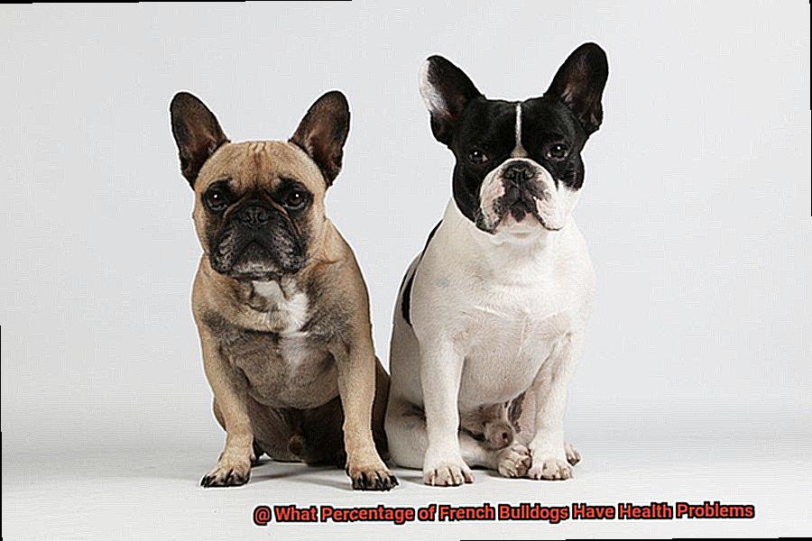 What Percentage of French Bulldogs Have Health Problems-7