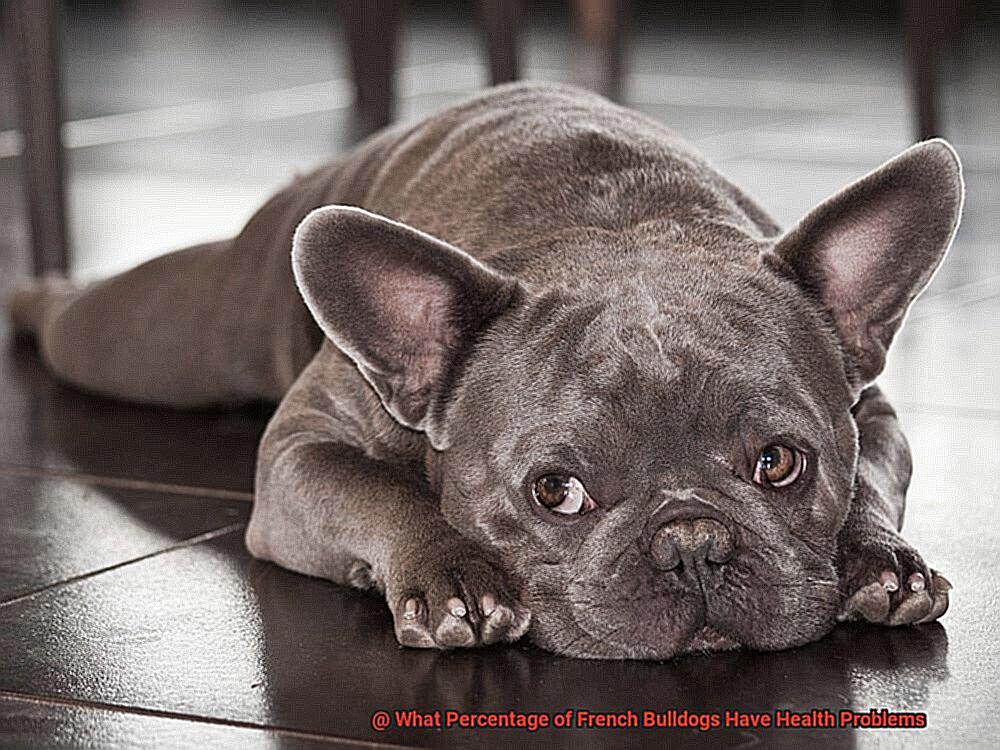 What Percentage of French Bulldogs Have Health Problems-6