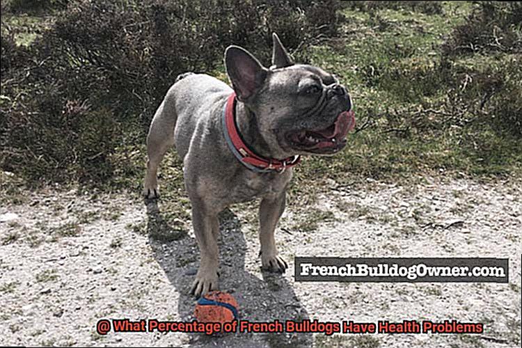 What Percentage of French Bulldogs Have Health Problems-3