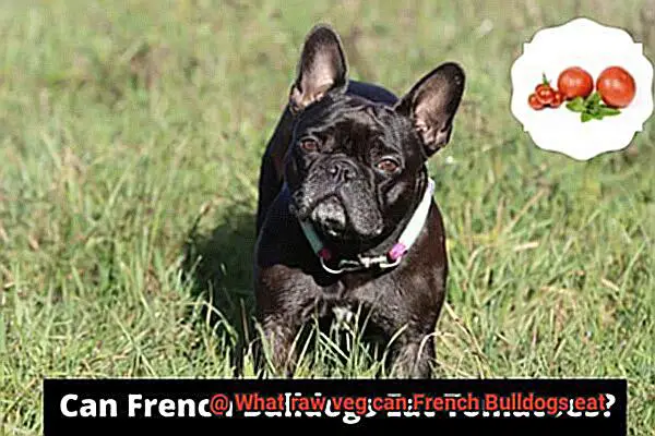 What raw veg can French Bulldogs eat-4