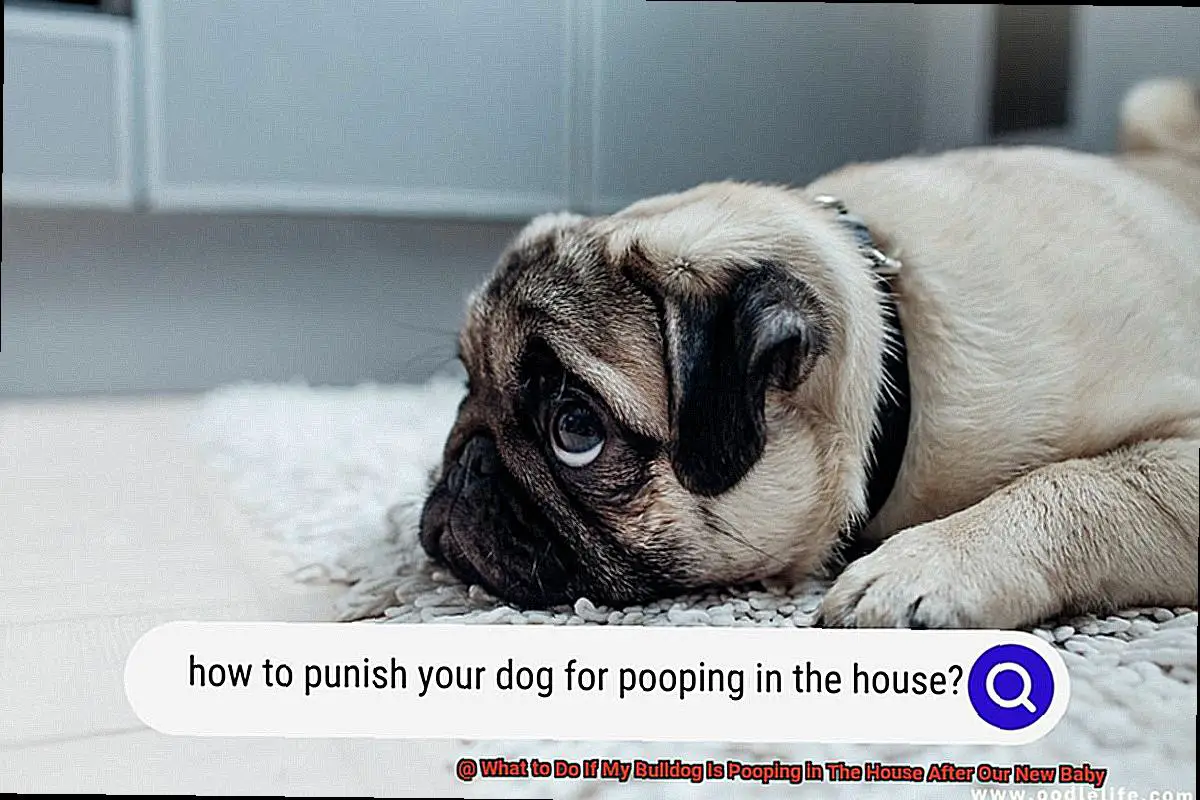 What to Do If My Bulldog Is Pooping in The House After Our New Baby-7