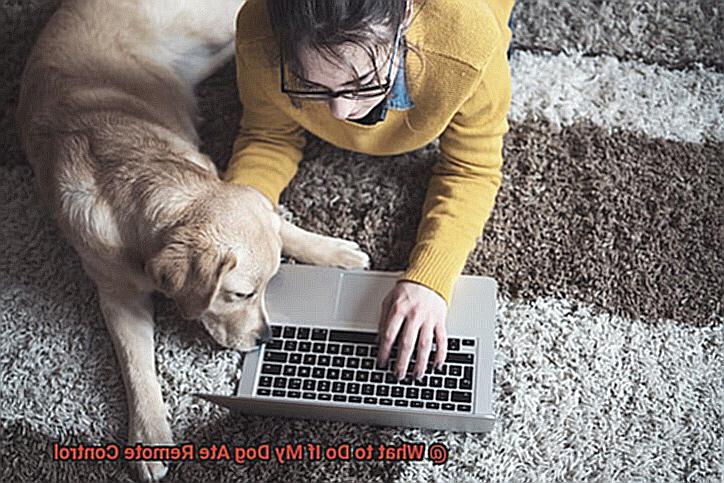What to Do If My Dog Ate Remote Control-2