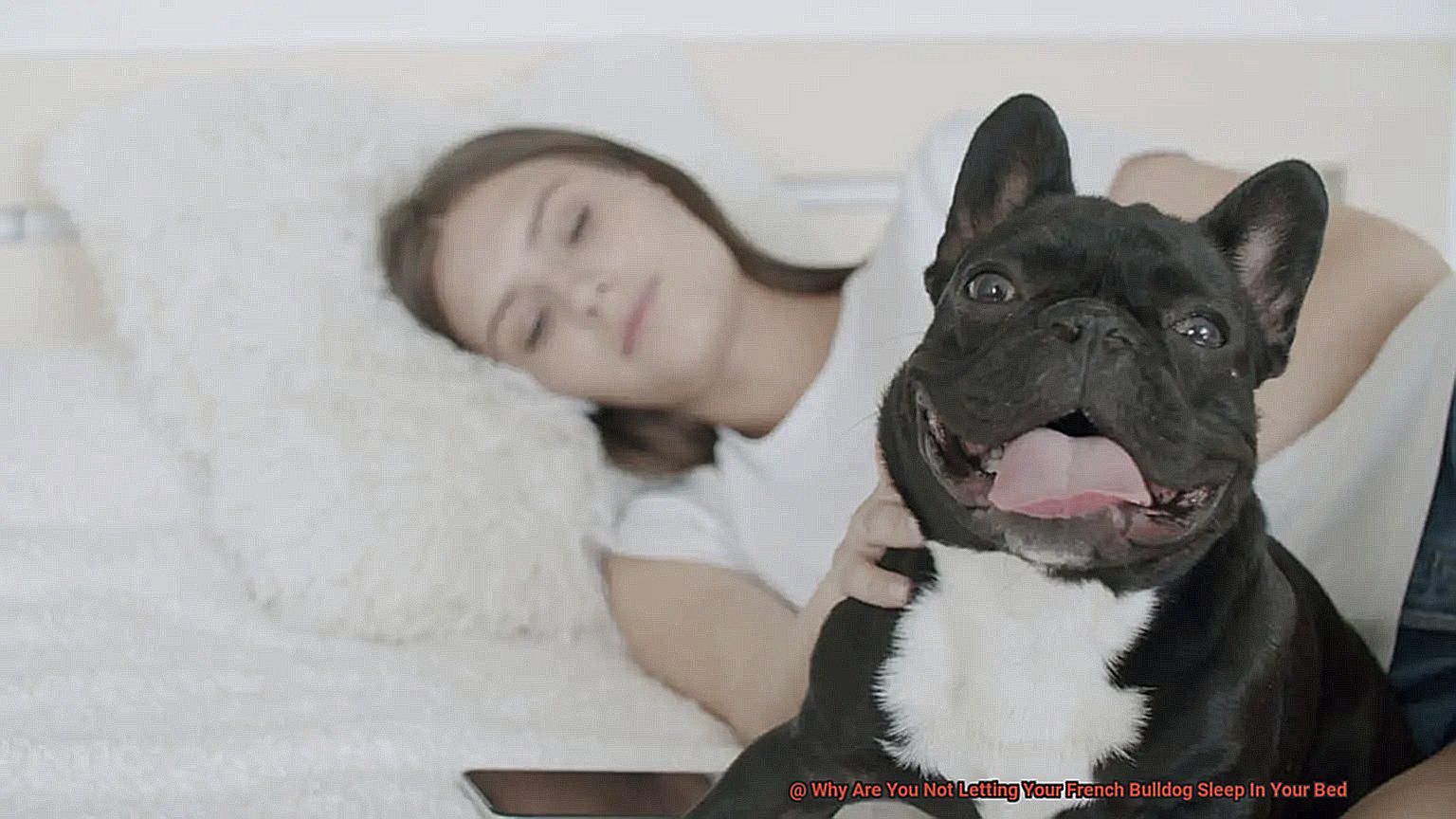 Why Are You Not Letting Your French Bulldog Sleep In Your Bed-2