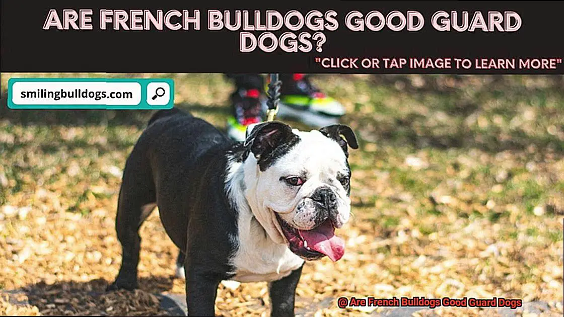 Are French Bulldogs Good Guard Dogs-4