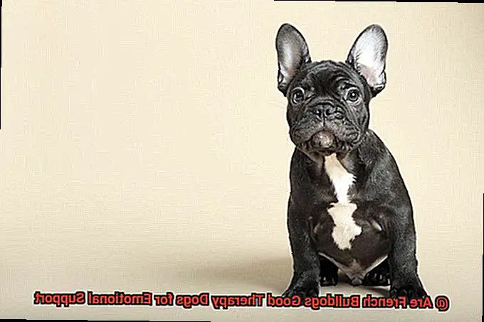 Are French Bulldogs Good Therapy Dogs for Emotional Support-3