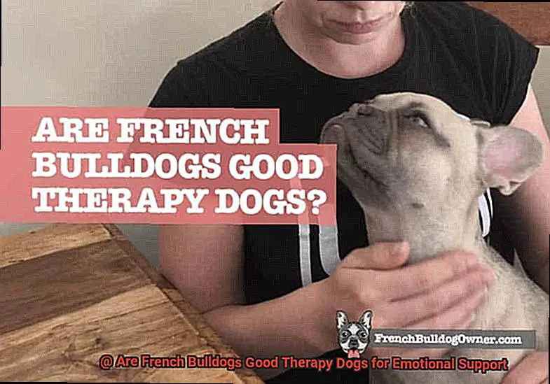 Are French Bulldogs Good Therapy Dogs for Emotional Support-5
