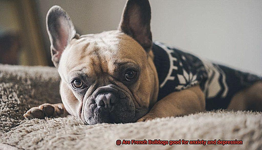 Are French Bulldogs good for anxiety and depression-4