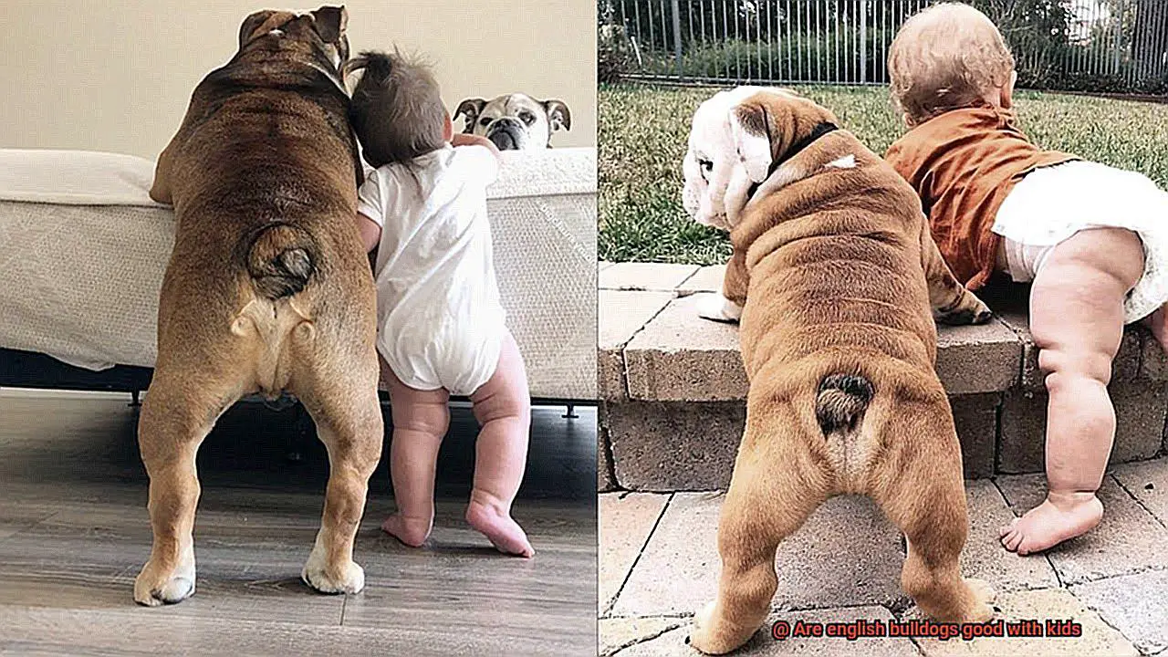 Are english bulldogs good with kids-4
