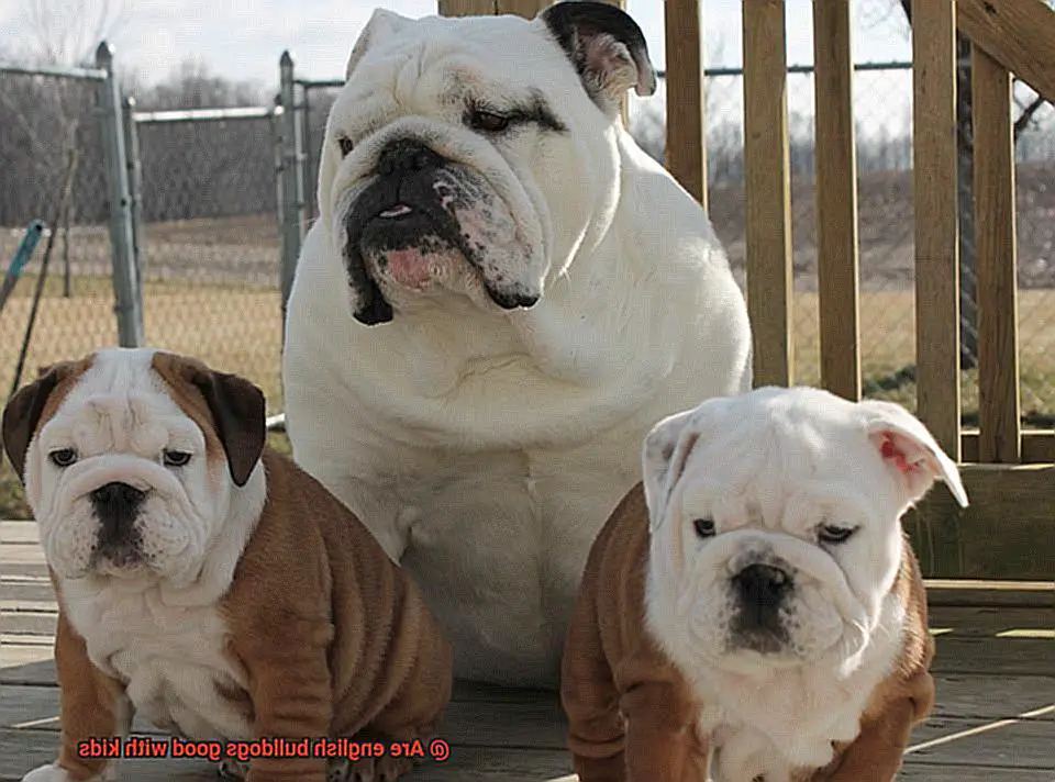 Are english bulldogs good with kids-2
